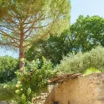 Apartmán Bio Tra Cielo E Terra