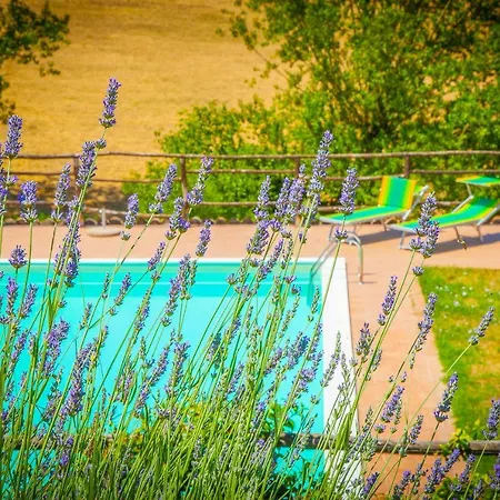 Agriturismo Bio Tra Cielo E Terra *
