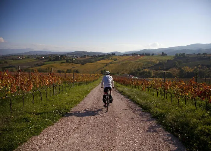 Bio Tra Cielo E Terra Grutti
