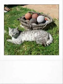 Apartamento Bio Tra Cielo E Terra