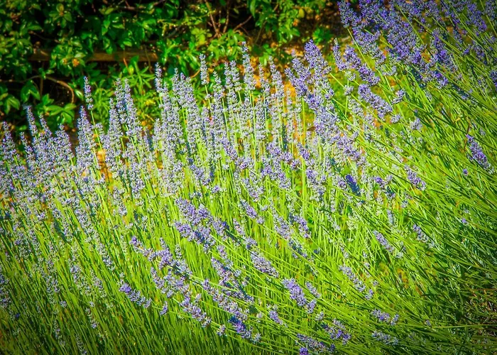 Bio Tra Cielo E Terra * Grutti