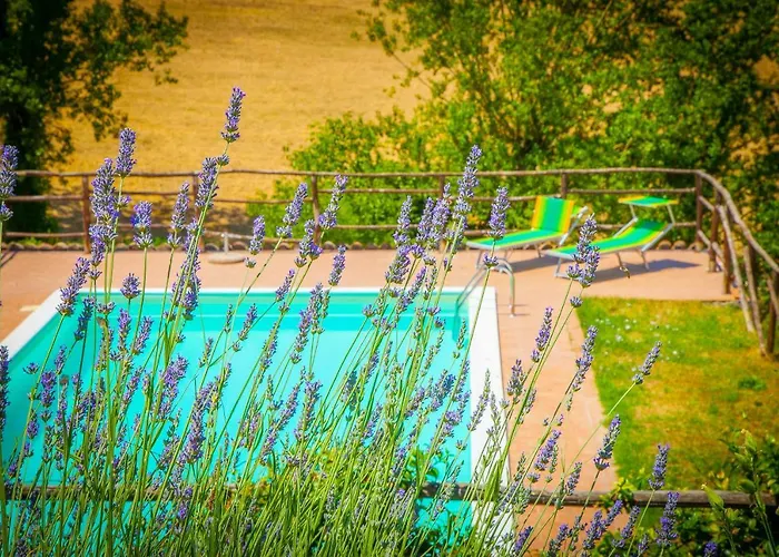 Bio Tra Cielo E Terra *